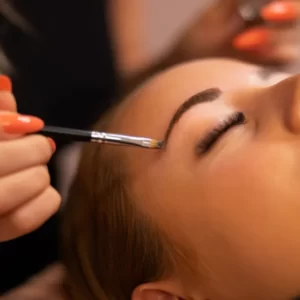 eyelash and eyebrow course