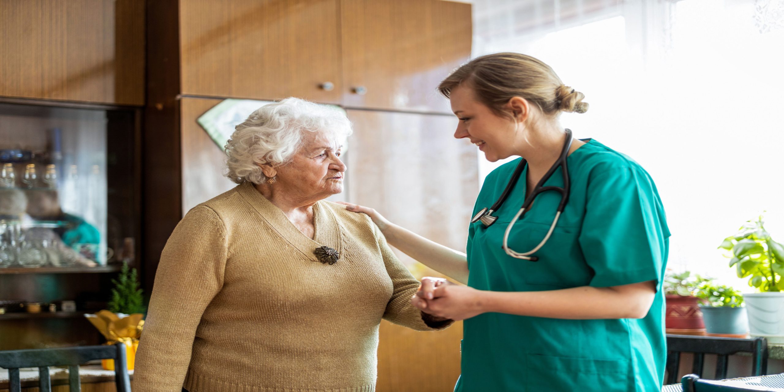 Health Care Support Worker Duties