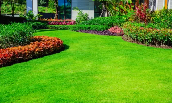 landscape gardening course