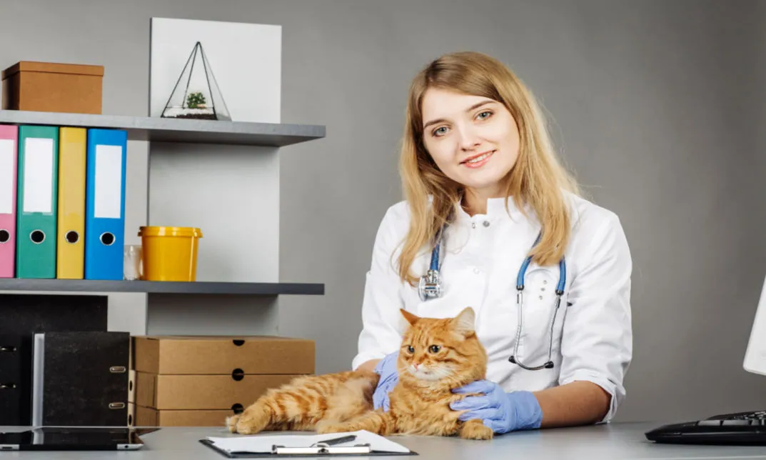 Level 2 Certificate For Animal Nursing Assistants Unified Course