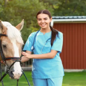 Level 3 Diploma in Work-based Horse Care and Management