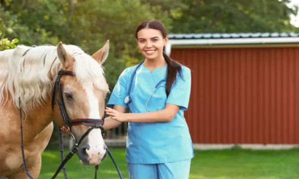 Level 3 Diploma in Work-based Horse Care and Management
