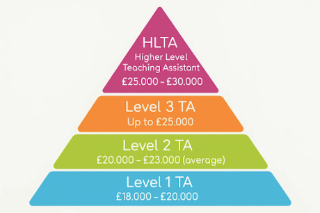 How Do I Become a Teaching Assistant With No Experience?
