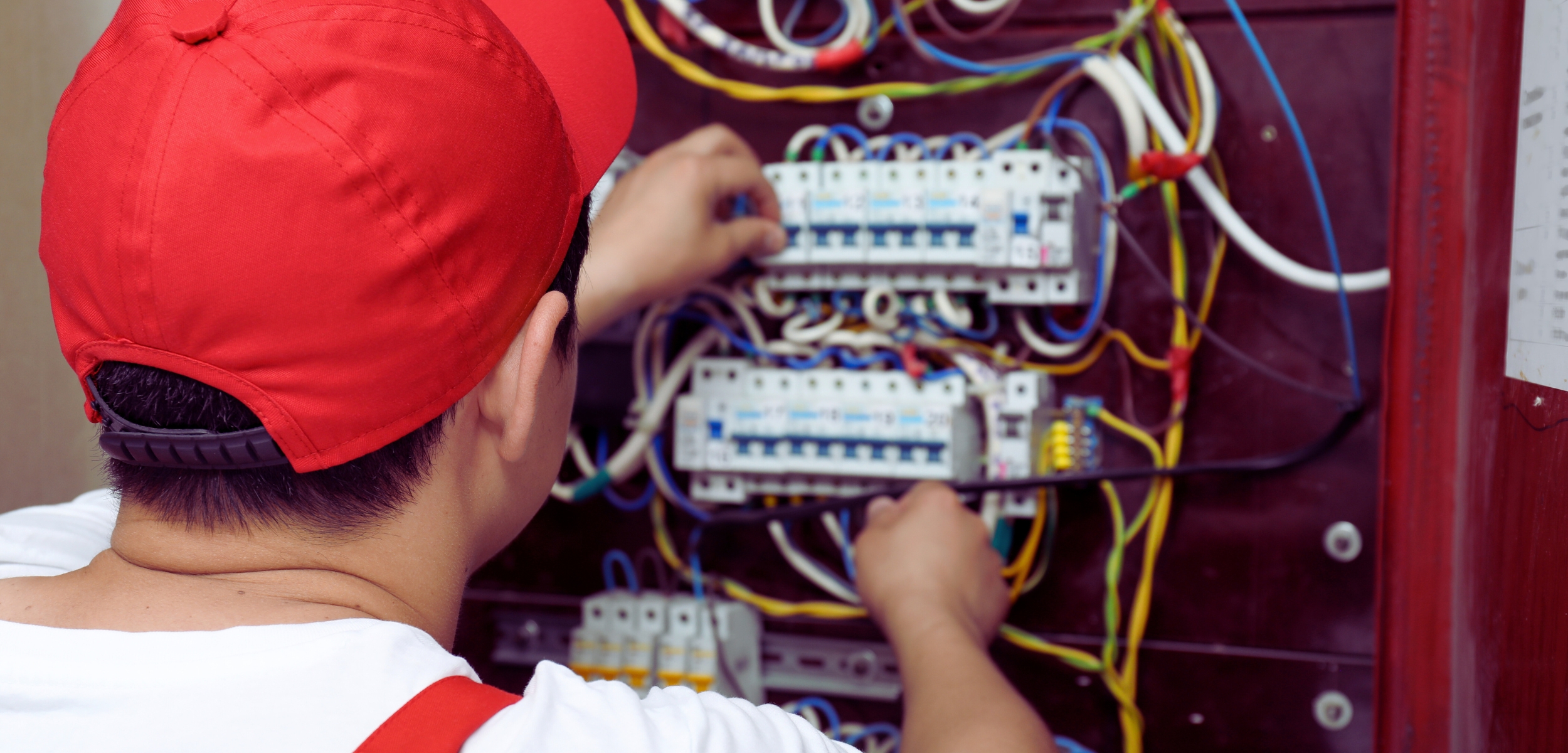 What Skills Do You Need